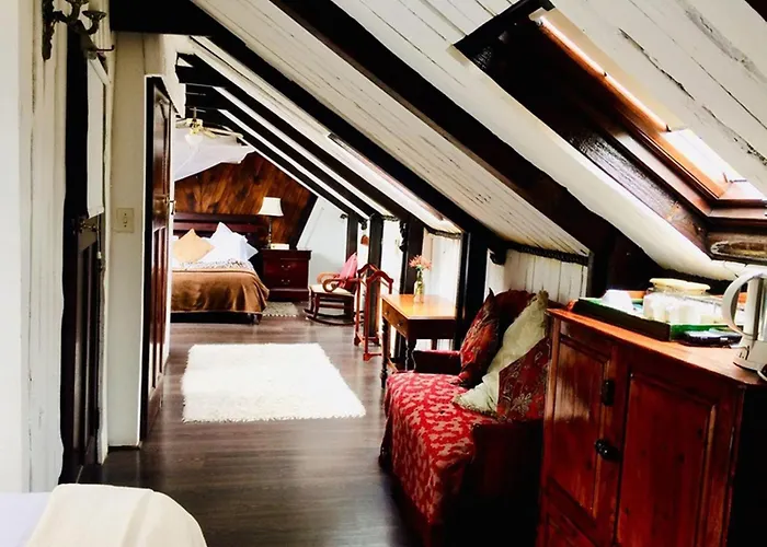 Harfield Guest Villa