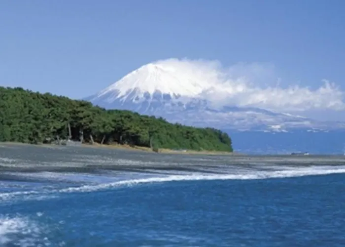 Shizuoka Town Hotel