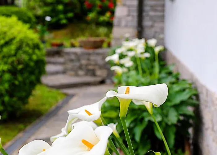 Bed&Breakfast Gli Oleandri