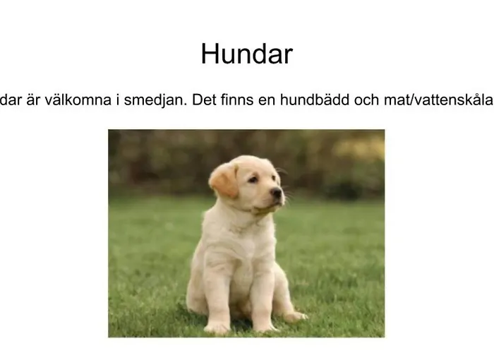Stenbrottets Smedja