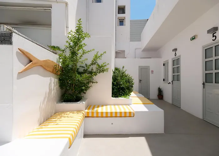 Pelican Paros