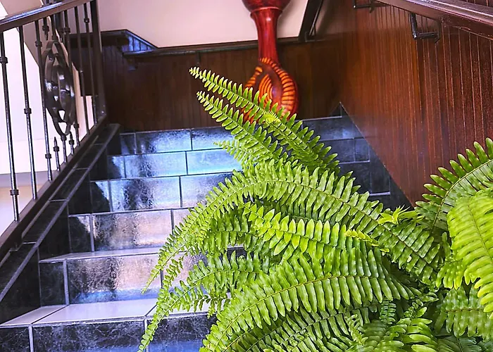 Casa Palma 2