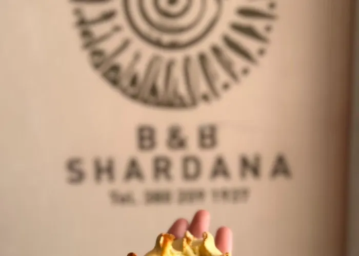 B&B Shardana Sardinia Holiday Room
