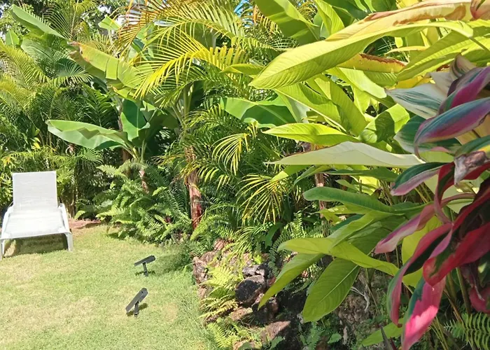 Bungalows Colibri