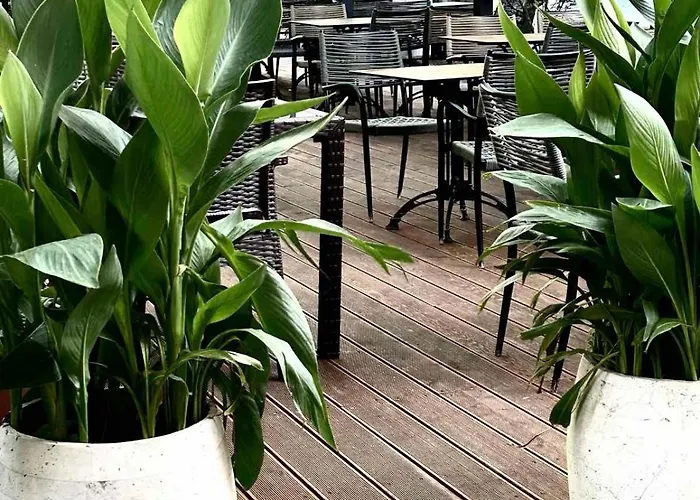 Plai Hotel
