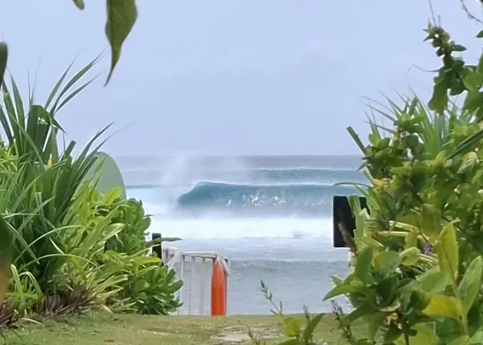 Bamboo Surf Beach