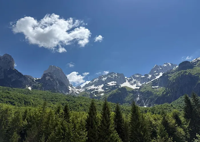 Bujtina Aroma E Malit