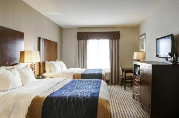 Comfort Inn & Suites Navasota