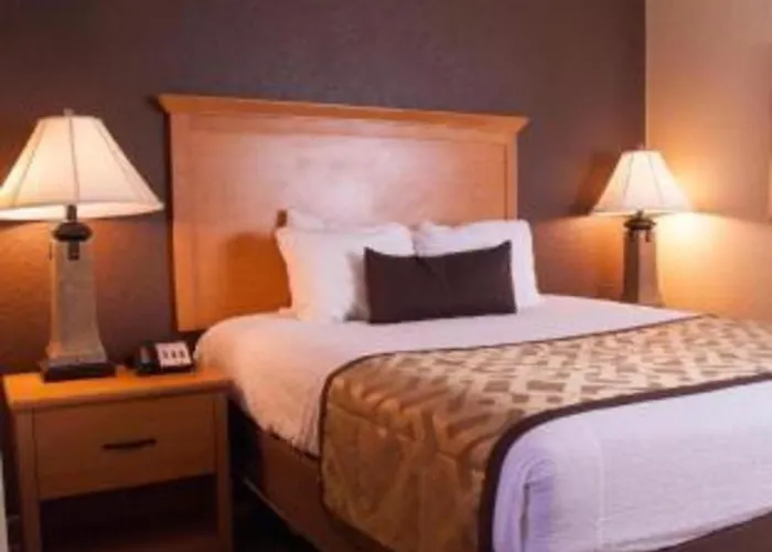 Best Western Locust Grove Inn & Suites