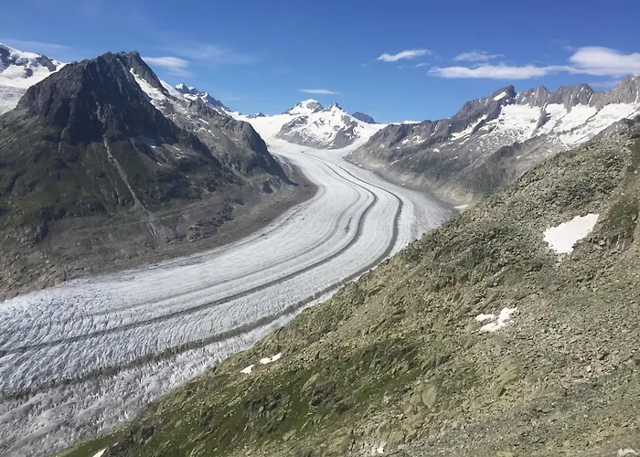 Himalayan Vibes