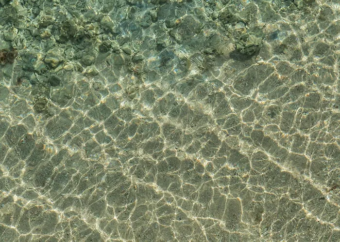 Srnty Sahl Hasheesh