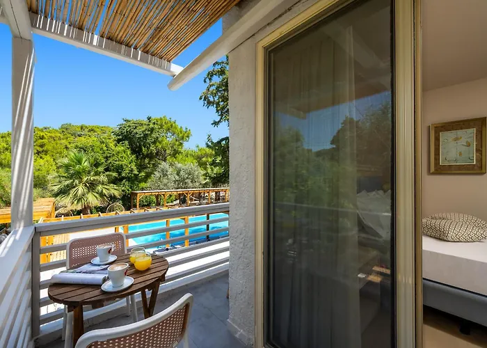 Casa Trees Boutique Hotel (Adults Only)