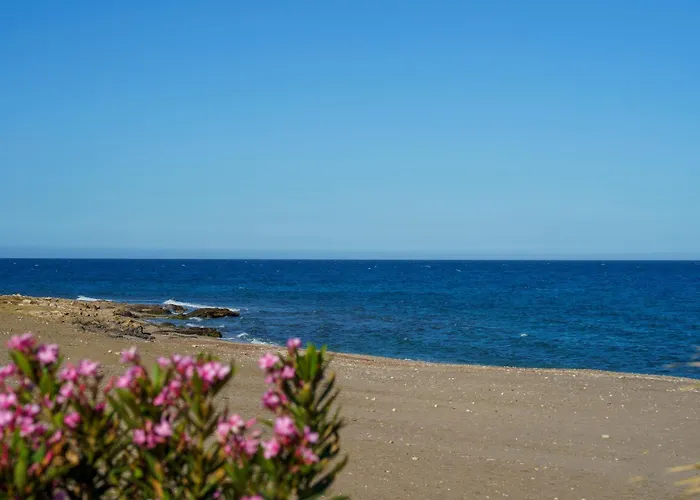 Ap Turisticos Y Habitaciones Marea - Frente Al Mar