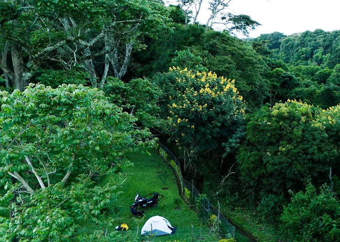Njukiini Forest Lodge