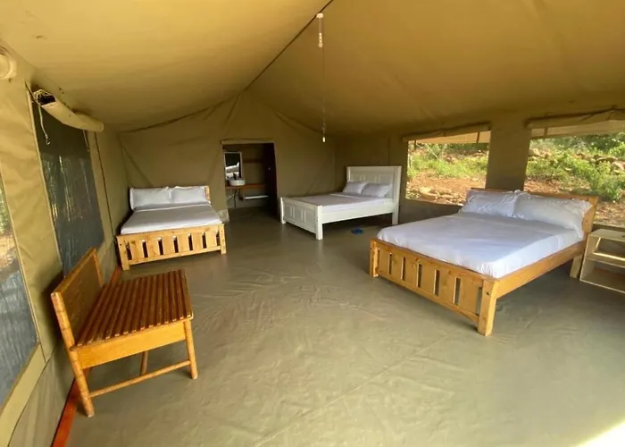Wild Enthusiasts Camps