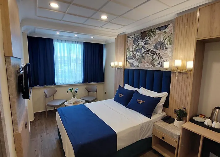Central Park Hotel Istanbul