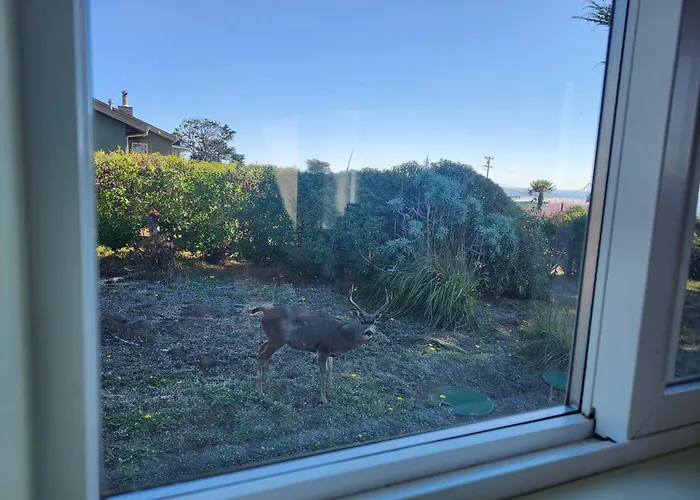 Ocean View-Huge Backyard-Quiet Neighborhood