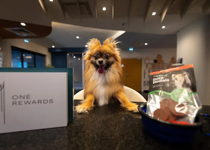 Holiday Inn Express Arras By Ihg