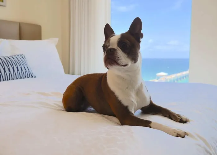 Wyndham Deerfield Beach Resort