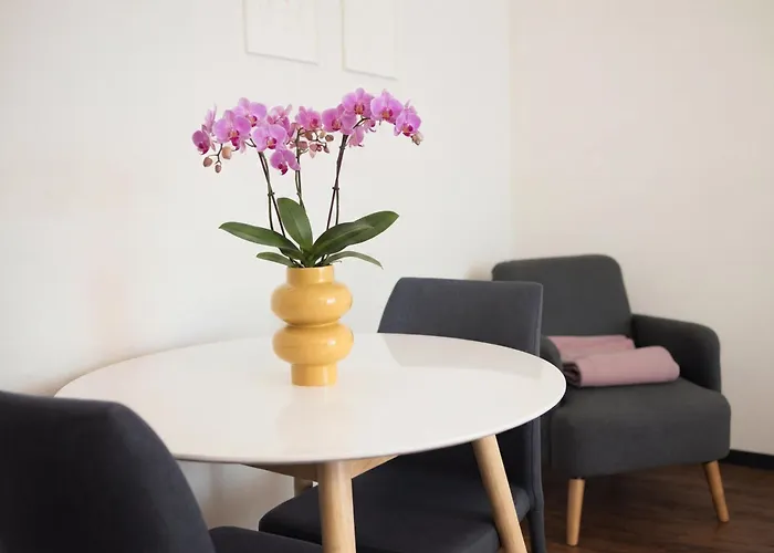 Apartmenthaus Zum Trillen Basel City Center