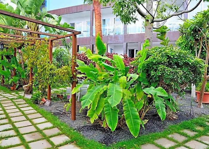 Apartamentos Adjovimar