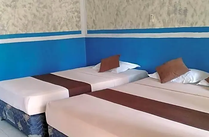Cozy Alfia Inn