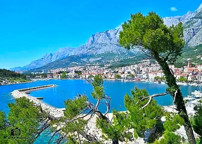 Apartments Jela