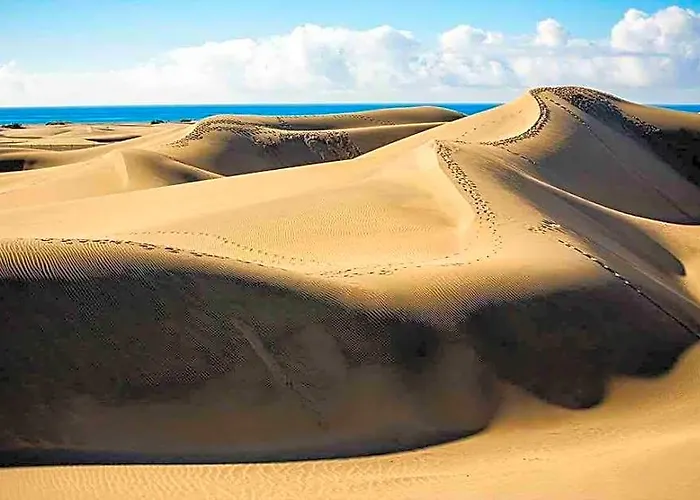 Bungalows Maspalomas Oasis Club
