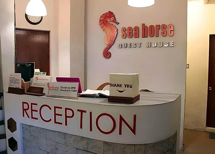 Sea Horse Guest House
