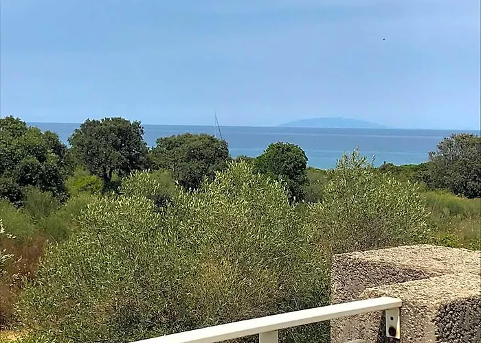 Orizonte