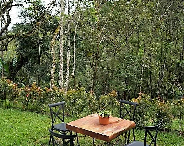My Potter'S Garden