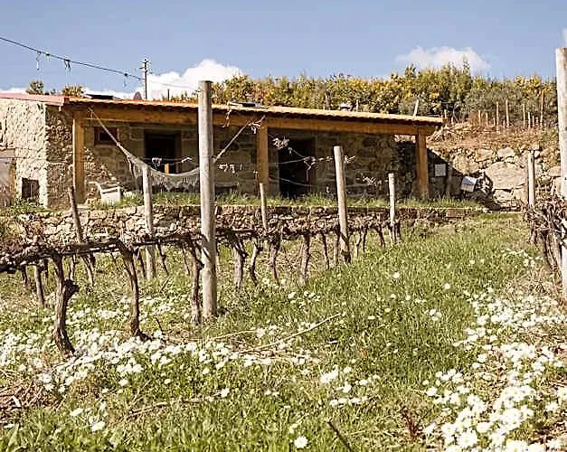 Quinta Da Portela - Chale Da Vinha - By Met