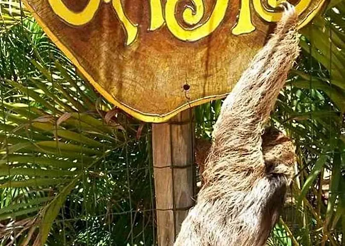 Chale "Oasis"