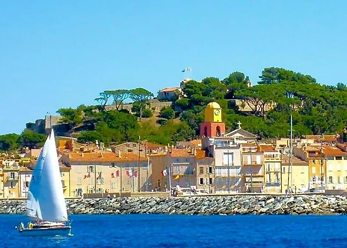 Tikki - Grimaud
