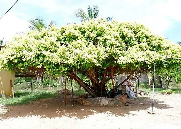 Attale Resort