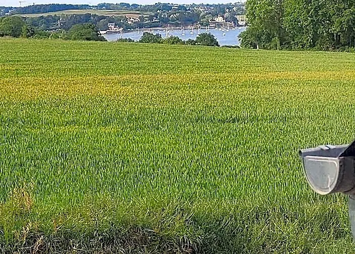 Villa Brumelle, Vue Des Bords De Rance