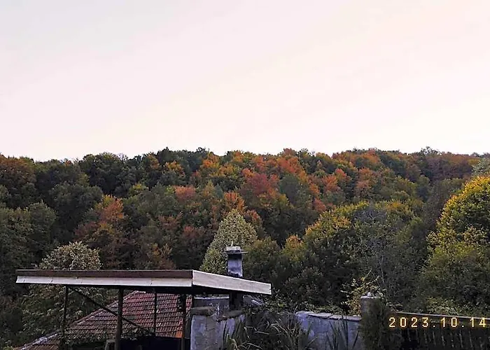 Forest View, Pet Friendly Chalet With A Garden