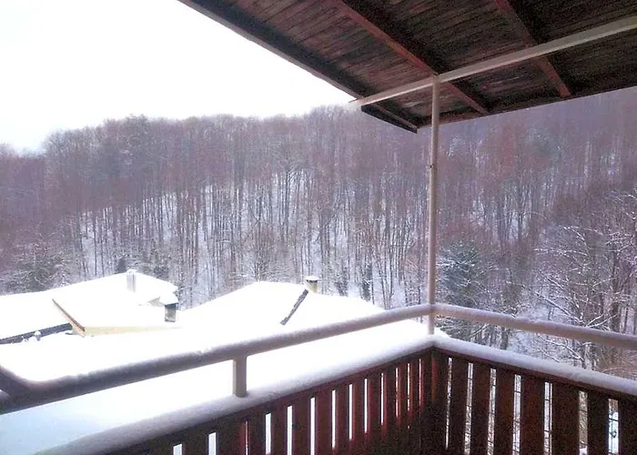 Forest View, Pet Friendly Chalet With A Garden