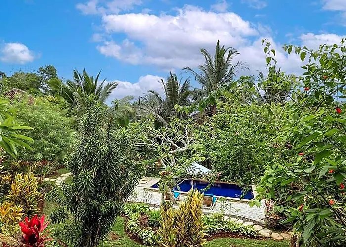 Peaceful Superior Double Room With Pool In Penida