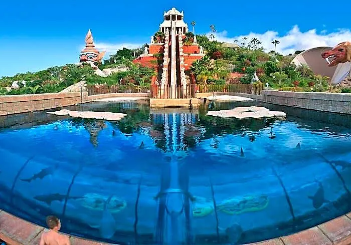 Golden Paradise Heated Pool At Albatros Park