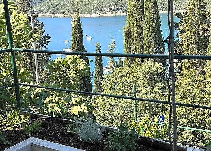 Apartment 650
