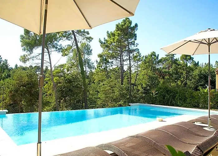 Apartment Montauroux Near Lake Cassien