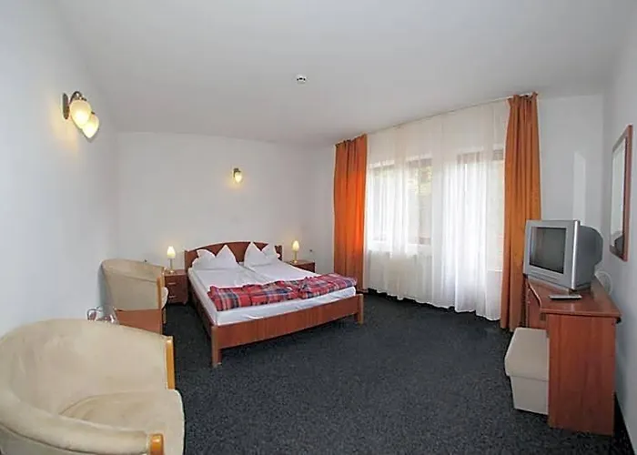 Hotel Paltinis