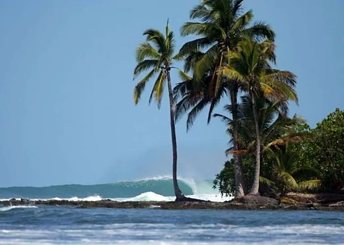 Nyang Ebay Surf Camp Siberut E"Bay 1 Minute Walking Beng-Beng 5 Minute Walking,Pitstop 10 Minute Walking Nipussy 1 Hour Walking Short Walking Only Minute Distances From Our Place