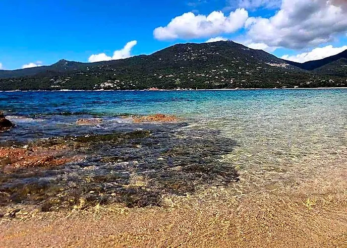 Studio Raffine Vue Mer - Propriano - Corse Du Sud