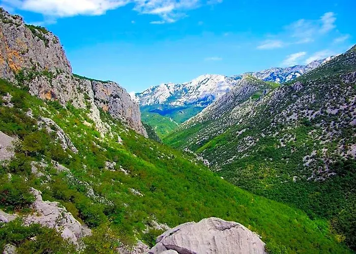Apartmani Mila
