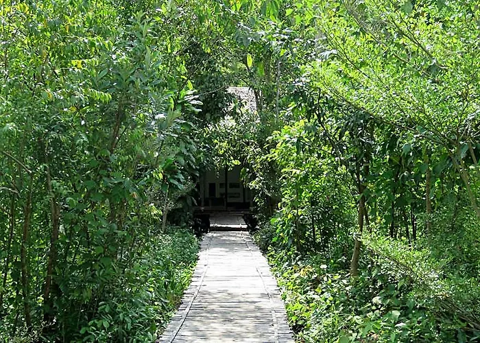 Rainbow Lodge Tatai