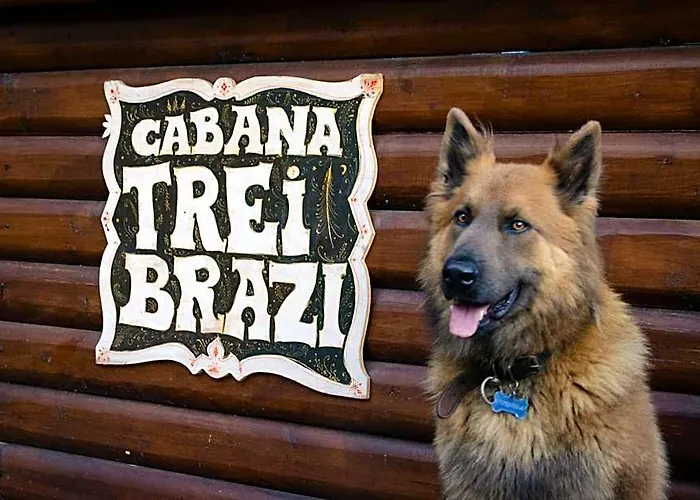 Cabana "Trei Brazi " Retezat