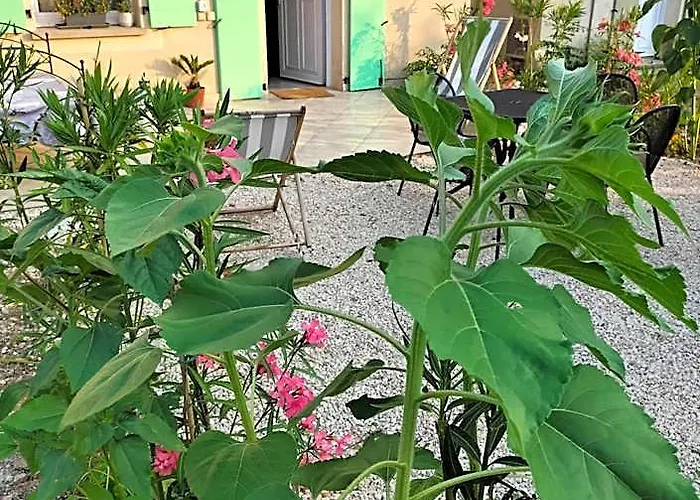 Maison Coquette En Camargue