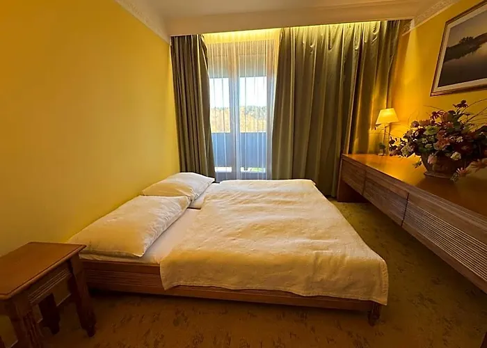 Hotel International